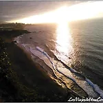 Dragos Del Mar , Espacio Natural La Orotava